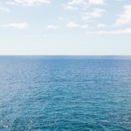 «Nunca tuvimos tanto miedo a desaparecer sin dejar huella»